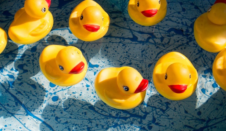 Manhattan’s “Duck Library” Treasure Hunt Captures the Interest of Children and Families