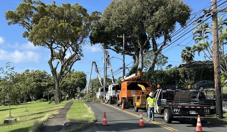 Mānoa Motorists to Face Road Closures for Bodhi Tree Removal Starting February 2
