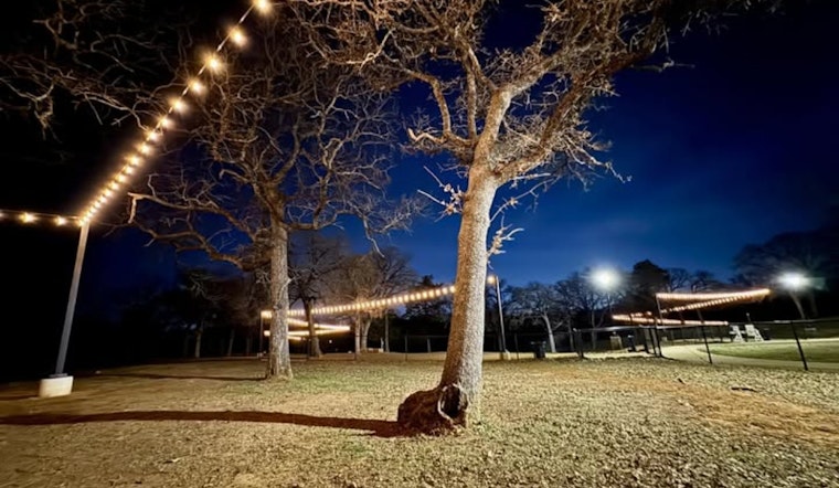 Mansfield's Mans Best Field Dog Park Aglow with New String Lights for Nighttime Fun