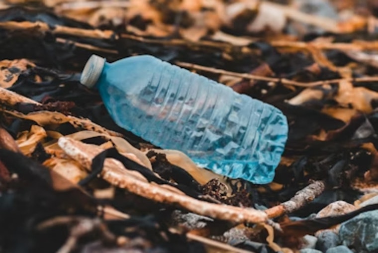 Maple Grove, MN Encourages Residents to Join Plastic-Free February Challenge for Environmental Stewardship