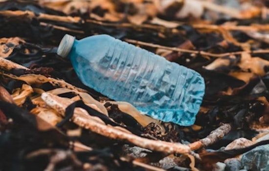 Maple Grove, MN Encourages Residents to Join Plastic-Free February Challenge for Environmental Stewardship