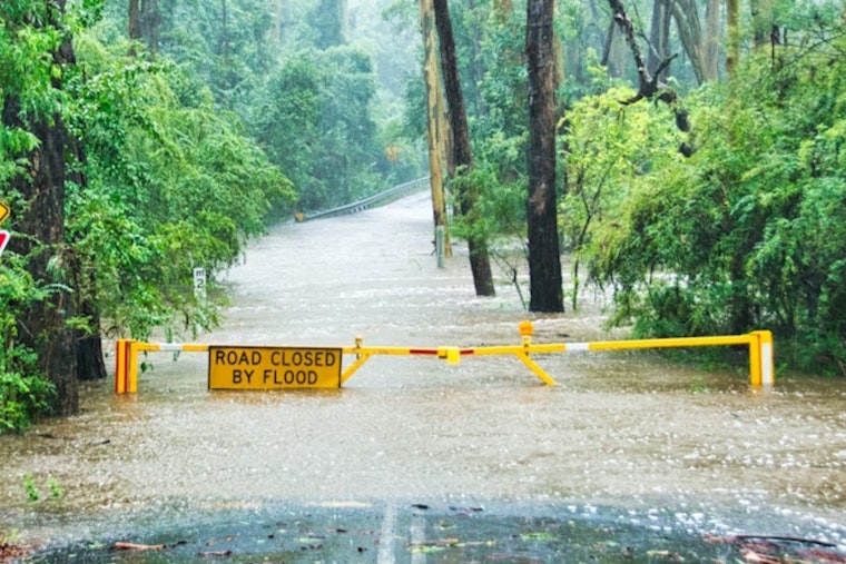 Marin County Battles Widespread Flooding, Travel Disrupted as High Tides and Heavy Rains Inundate Roads and Neighborhoods