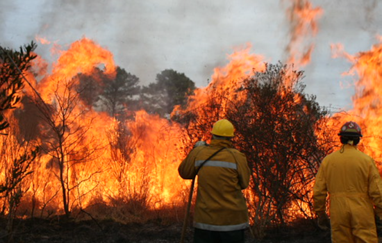 Maryland Enhances Wildfire Defense with $167,314 in Grants to Rural Volunteer Fire Departments