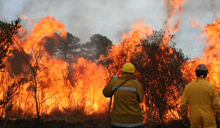 Maryland Enhances Wildfire Defense with $167,314 in Grants to Rural Volunteer Fire Departments