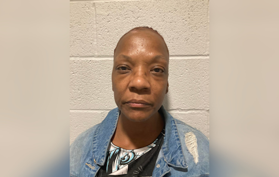 Maryland Woman Sentenced to 30 Years for Vehicular Manslaughter in Crash That Killed Six on I-695