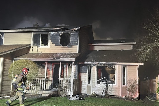 Marysville Family and Pets Escape New Year's Day Blaze Unharmed; Firefighter Injured