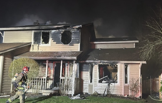 Marysville Family and Pets Escape New Year's Day Blaze Unharmed; Firefighter Injured
