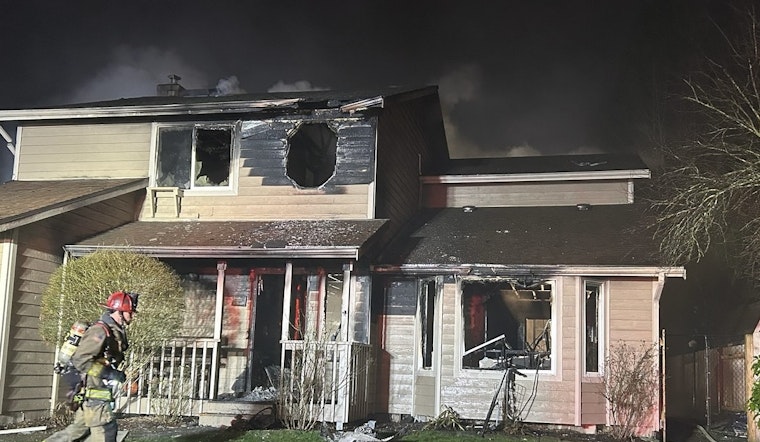 Marysville Family and Pets Escape New Year's Day Blaze Unharmed; Firefighter Injured