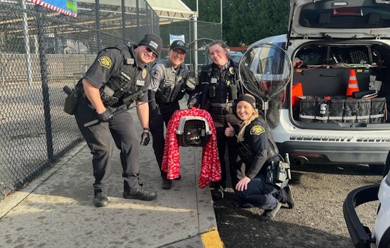 Marysville Police Apprehend Raccoon Invader at Local Fred Meyer, Escort Injured Animal to Wildlife Center