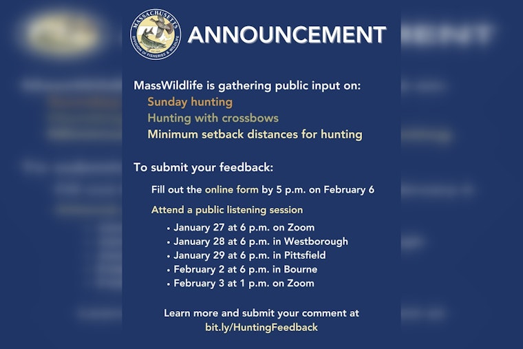 Massachusetts Administration Explores Hunting Expansion, Seeks Public Input