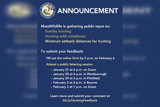 Massachusetts Administration Explores Hunting Expansion, Seeks Public Input
