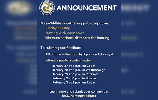 Massachusetts Administration Explores Hunting Expansion, Seeks Public Input