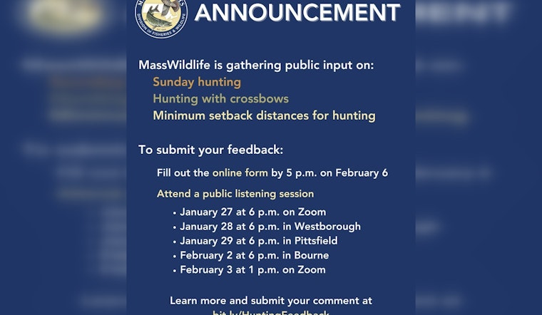 Massachusetts Administration Explores Hunting Expansion, Seeks Public Input