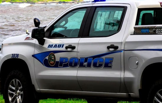 Maui Road to Hana Showdown: Teen Busted After Tourist Clash