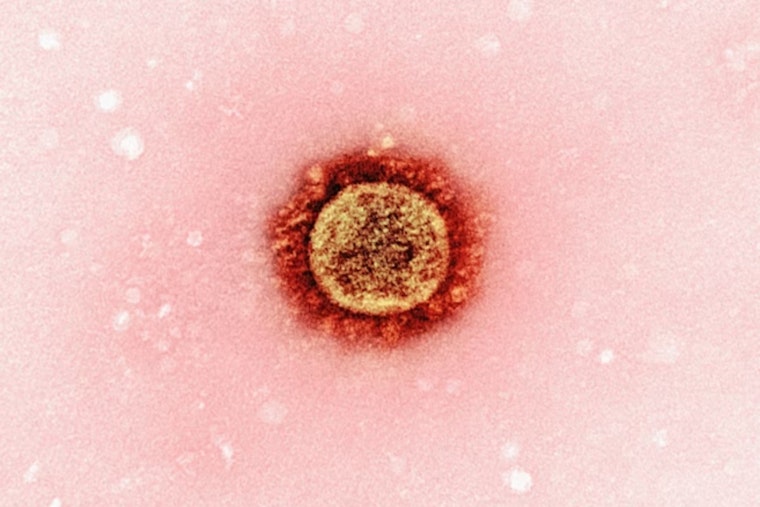 Measles Outbreak Strikes Ohio with Three Cases in Cuyahoga County, Health Officials Urge Vaccination