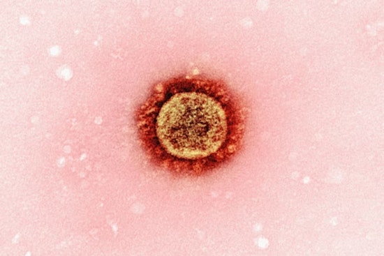 Measles Outbreak Strikes Ohio with Three Cases in Cuyahoga County, Health Officials Urge Vaccination