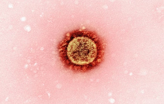 Measles Outbreak Strikes Ohio with Three Cases in Cuyahoga County, Health Officials Urge Vaccination