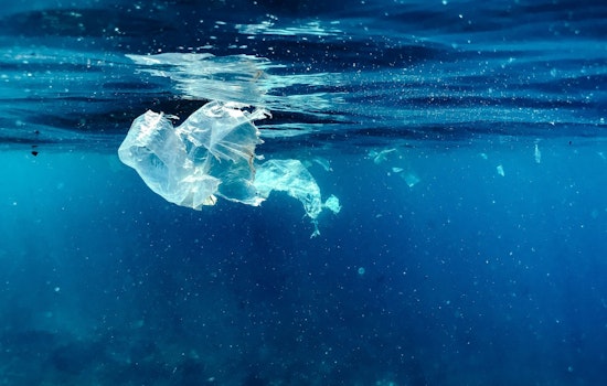 Mecklenburg County Expands Recycling Program to Include Plastic Bags and Wraps at Full-Service Facilities