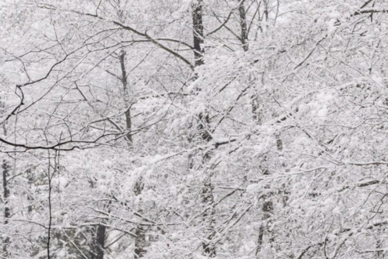 Mecklenburg County Offices and Services Closed Due to Extreme Winter Weather