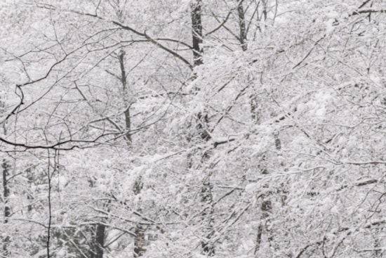 Mecklenburg County Offices and Services Closed Due to Extreme Winter Weather