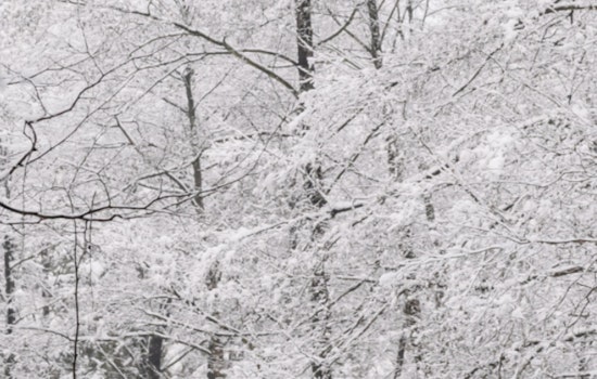 Mecklenburg County Offices and Services Closed Due to Extreme Winter Weather