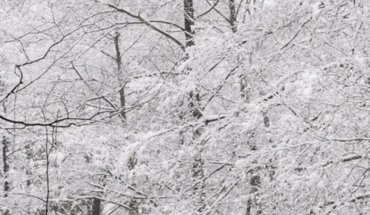 Mecklenburg County Offices and Services Closed Due to Extreme Winter Weather