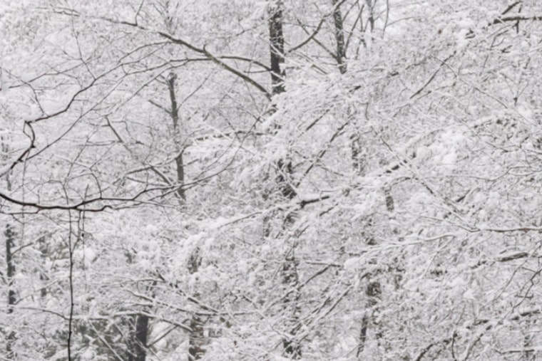 Mecklenburg County Shuts Down Parks, Libraries Amid Severe Winter Weather Emergency