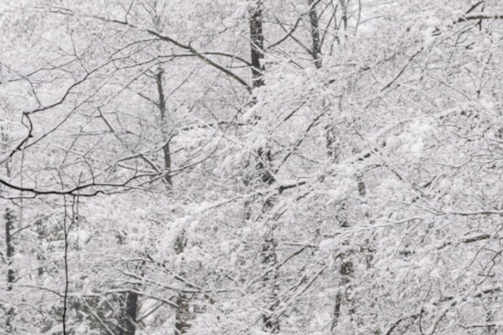 Mecklenburg County Shuts Down Parks, Libraries Amid Severe Winter Weather Emergency