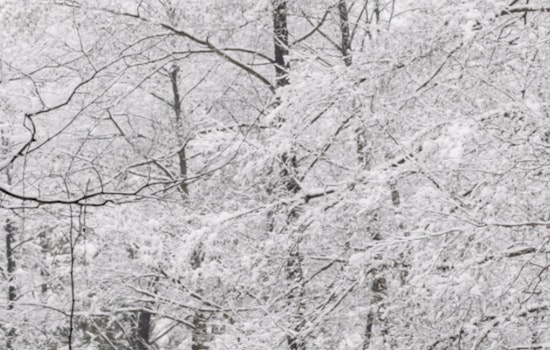 Mecklenburg County Shuts Down Parks, Libraries Amid Severe Winter Weather Emergency