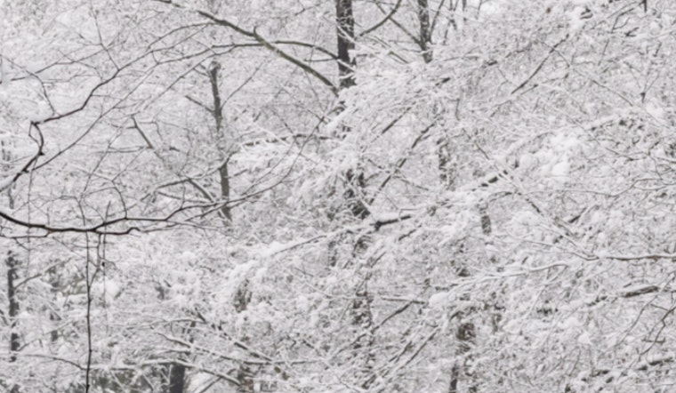 Mecklenburg County Shuts Down Parks, Libraries Amid Severe Winter Weather Emergency