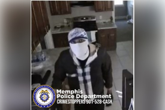 Memphis Police Seek Public's Help to End Spree of Daylight Burglaries in Clearwood Road Area
