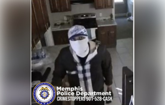 Memphis Police Seek Public's Help to End Spree of Daylight Burglaries in Clearwood Road Area
