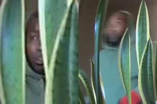 Mesquite Cops Hunt Burglary Suspect Caught On Camera Near Northwest Highway