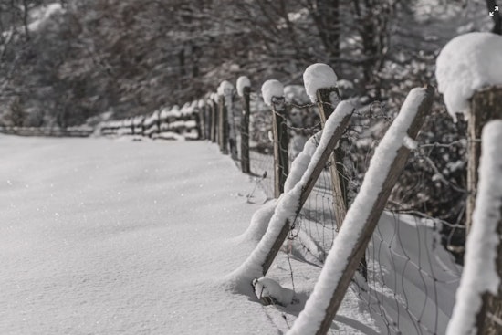 Metro Detroit Hit by Extreme Cold as Schools Close, Events Canceled While Fire & Ice Festival Adapts to Sub-Zero Chill