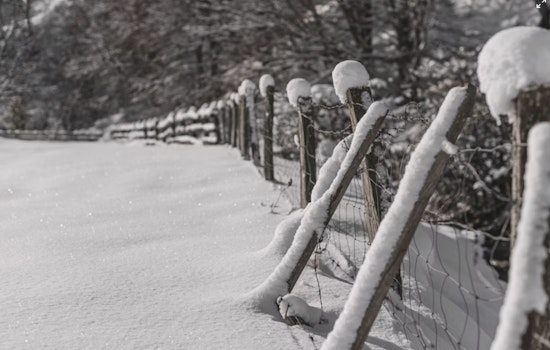 Metro Detroit Hit by Extreme Cold as Schools Close, Events Canceled While Fire & Ice Festival Adapts to Sub-Zero Chill