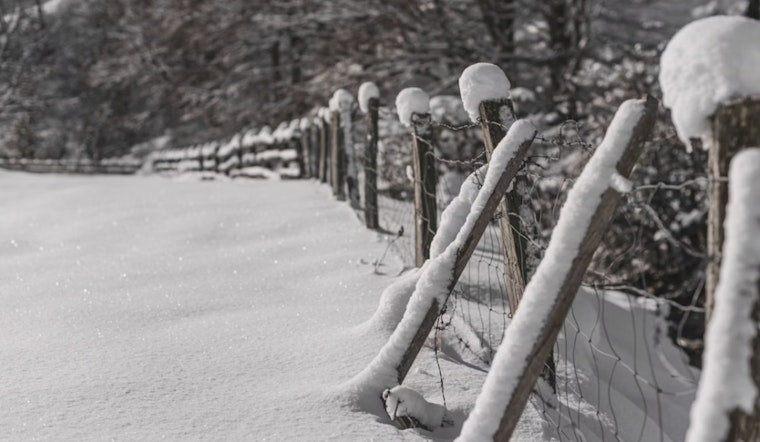Metro Detroit Hit by Extreme Cold as Schools Close, Events Canceled While Fire & Ice Festival Adapts to Sub-Zero Chill