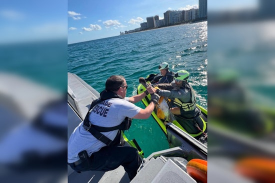 Miami-Dade Fire Rescue, Ocean Rescue, and U.S. Coast Guard Team Up to Save Entangled Pelican Near Haulover Inlet