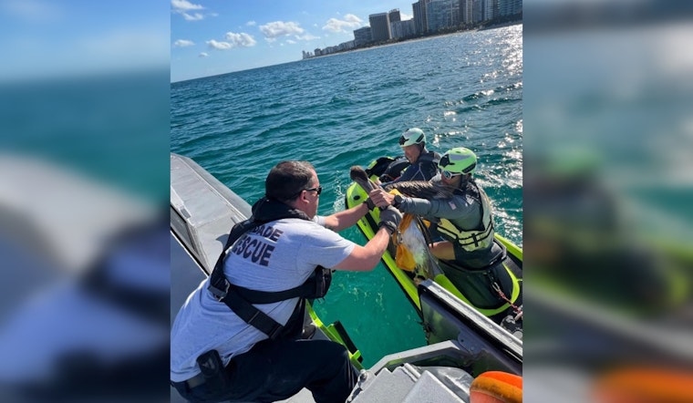 Miami-Dade Fire Rescue, Ocean Rescue, and U.S. Coast Guard Team Up to Save Entangled Pelican Near Haulover Inlet