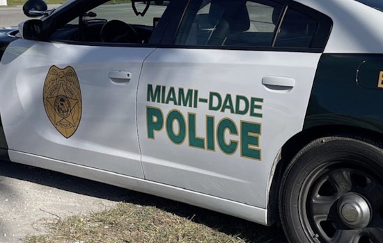Miami-Dade Sheriff's Office Nets 98 Felonies in Successful 'Grinch Busters' Holiday Safety Campaign