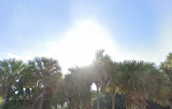 Miami Enjoys Sunny Outlook with Highs Around 80 Degrees Following Morning Showers