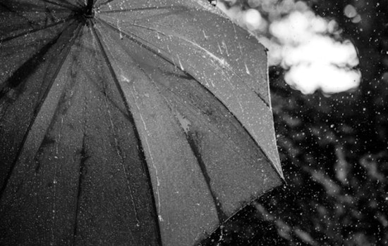 Miami Weather Shifts From Showers to Potential Snow in North Florida