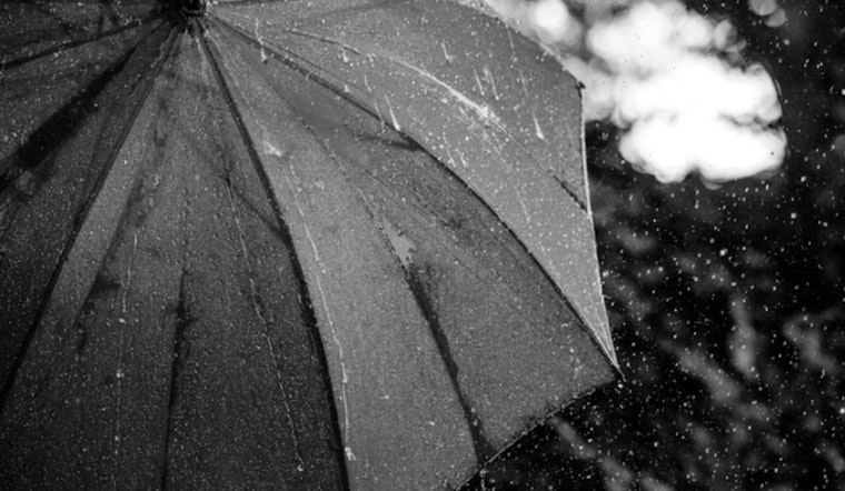 Miami Weather Shifts From Showers to Potential Snow in North Florida
