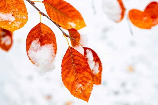 Milwaukee Braces for Life-Threatening Cold, NWS Issues Extreme Cold Warning and Watch
