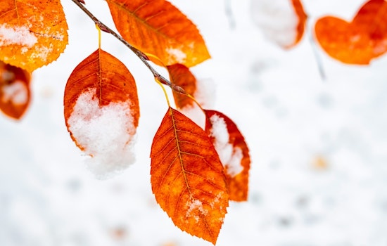 Milwaukee Braces for Life-Threatening Cold, NWS Issues Extreme Cold Warning and Watch