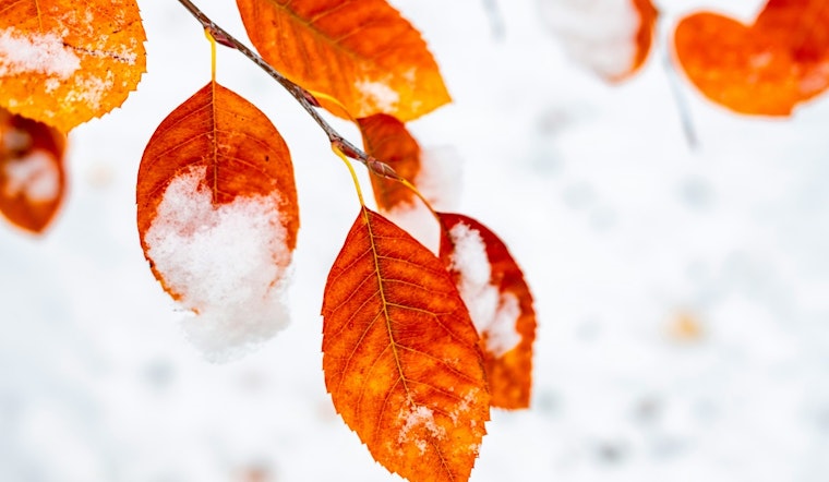 Milwaukee Braces for Life-Threatening Cold, NWS Issues Extreme Cold Warning and Watch