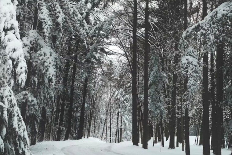 Milwaukee Gets Smacked by Brutal Cold as Winds Roar Back