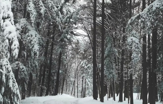 Milwaukee Gets Smacked by Brutal Cold as Winds Roar Back
