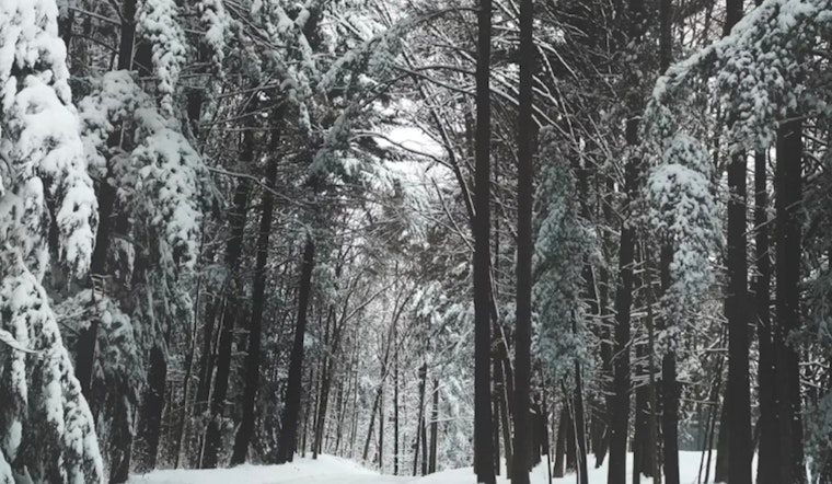 Milwaukee Gets Smacked by Brutal Cold as Winds Roar Back