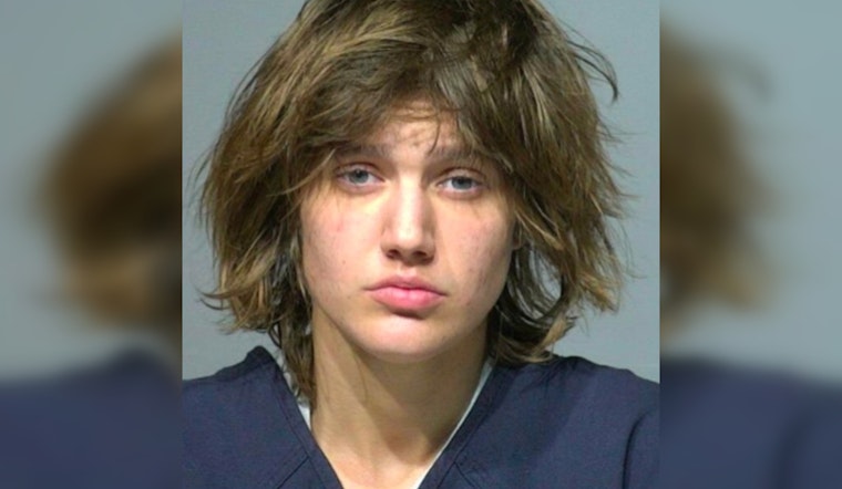 Milwaukee Mom Begged Cops For Help Hours Before Rock Killing, Video Shows
