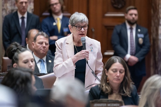 Minnesota Senator Ann Rest Calls for ICE Withdrawal After Fatal Incident, Backs Bill to Ban Law Enforcement Masks